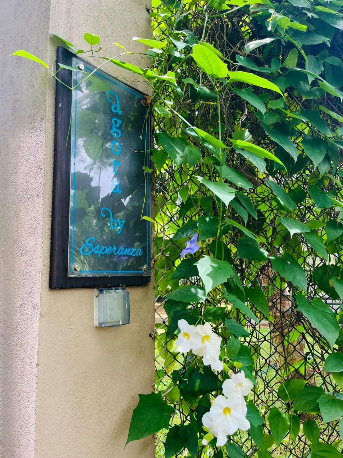 Agora Villa By Esperanza タンガラ エクステリア 写真